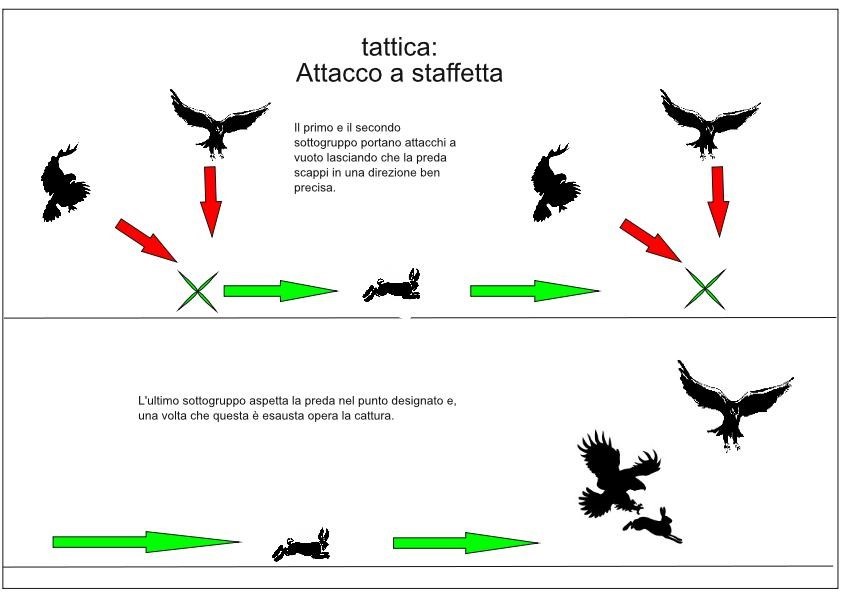 attacco a staffetta